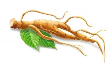 Ginseng 50 yildan keyin potentsialni yaxshilash uchun